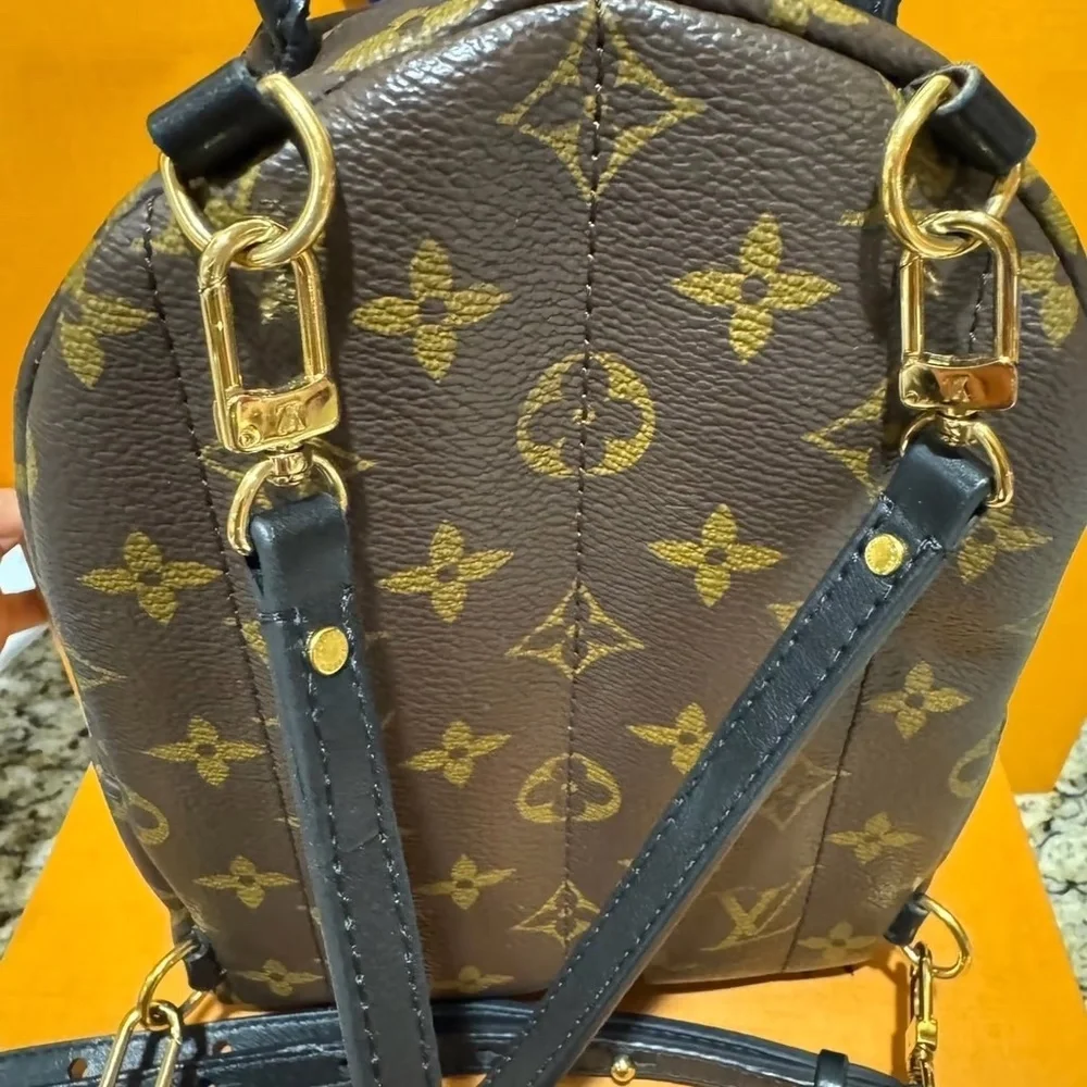 Louis Vuitton Palm Springs mini - Picture 4 of 12
